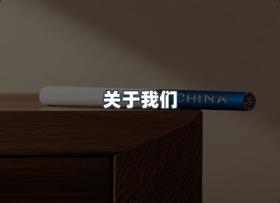 专业团队